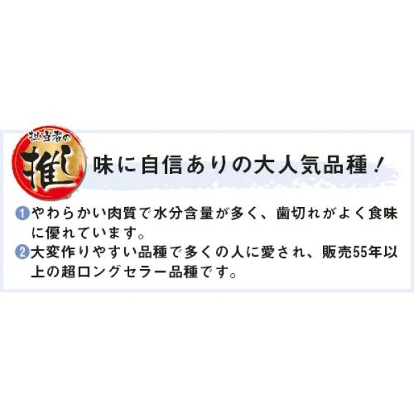 画像2: キャベツ・初秋（210粒） (2)