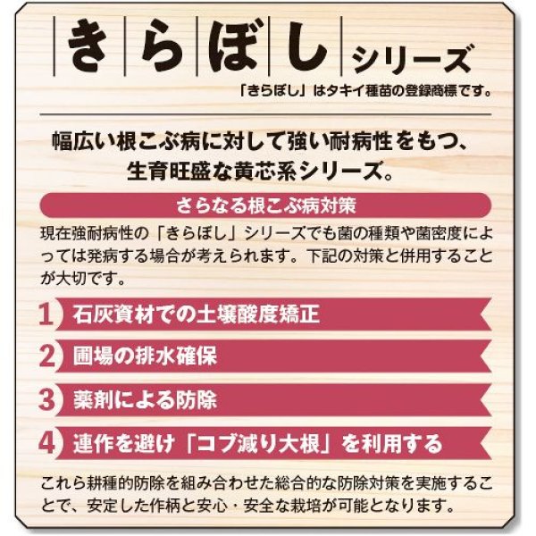 画像3: ハクサイ・きらぼし77（160粒） (3)