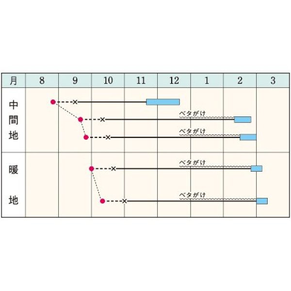 画像2: ハクサイ・ほまれの極み（170粒） (2)