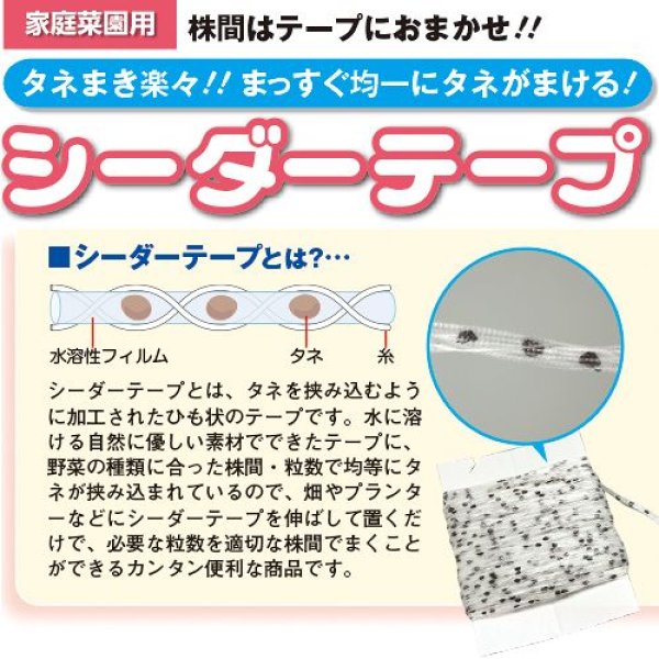 画像3: ホウレンソウ・強力オーライ（約2800粒） (3)