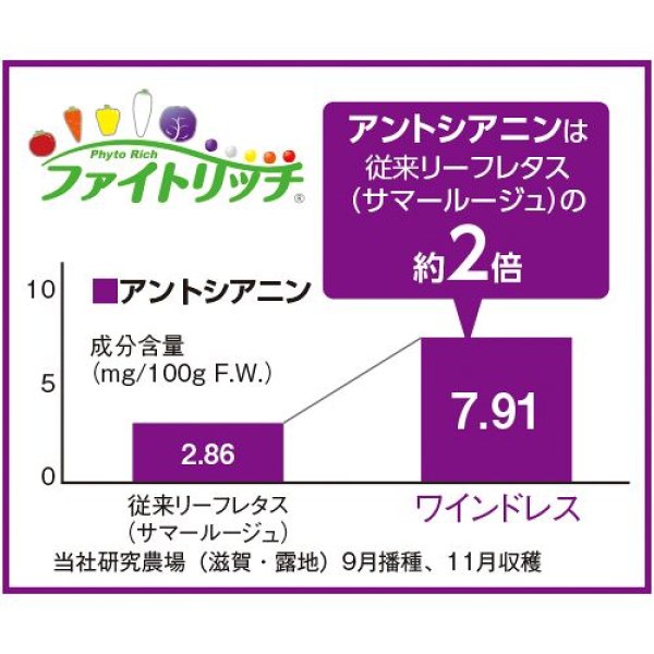 画像3: リーフレタス・ワインドレス（ペレット100粒） (3)