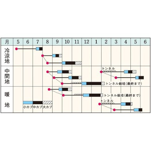 画像2: カブ・スワン　RF（3.5ml） (2)