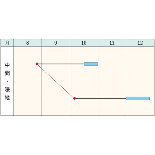 画像2: カブ・本紅赤丸蕪　（1㎗） (2)