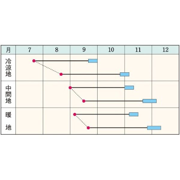 画像2: ダイコン・秋の翼　DF（4.5ml） (2)