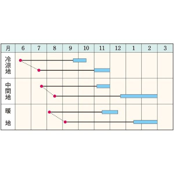 画像2: ニンジン・陽州五寸　（2㎗スタンドパック） (2)