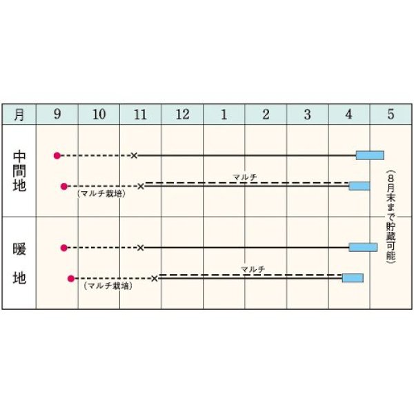 画像2:  タマネギ・マッハ　（2㎗スタンドパック） (2)