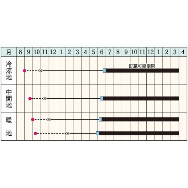 画像2: タマネギ・ネオアース　（20ml） (2)