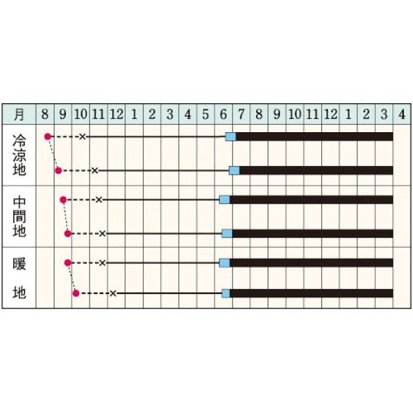 画像2:  タマネギ・ケルたま　（2㎗スタンドパック） (2)