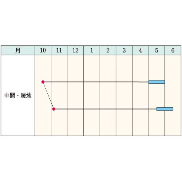 画像2: 実とりエンドウ（グリーンピース）・南海緑GF（18ml） (2)