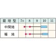 画像2: スイートコーン・おひさまコーン88（極良質強甘味種）　GF（40粒） (2)