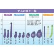 画像3:  長卵形ナス・竜馬　　DF（50粒） (3)