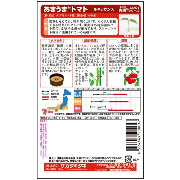 画像3: 大玉トマト ルネッサンス（1000粒） (3)
