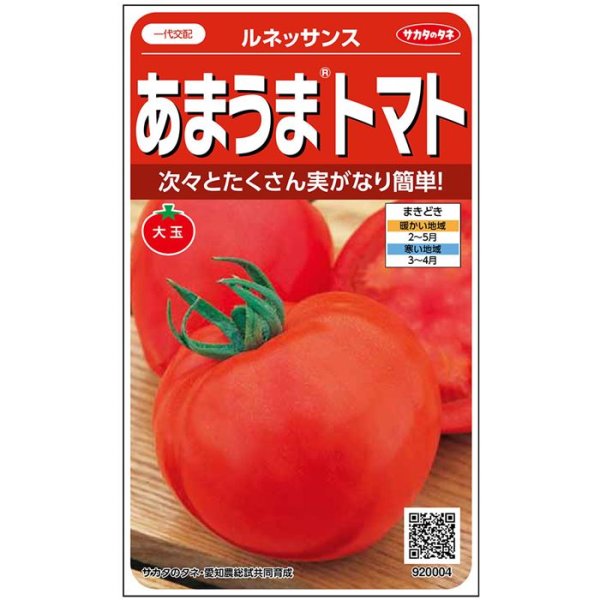 画像2: 大玉トマト ルネッサンス（1000粒） (2)