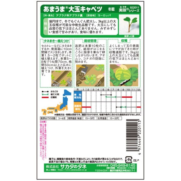 画像3: キャベツ 冬藍（実咲絵袋） (3)