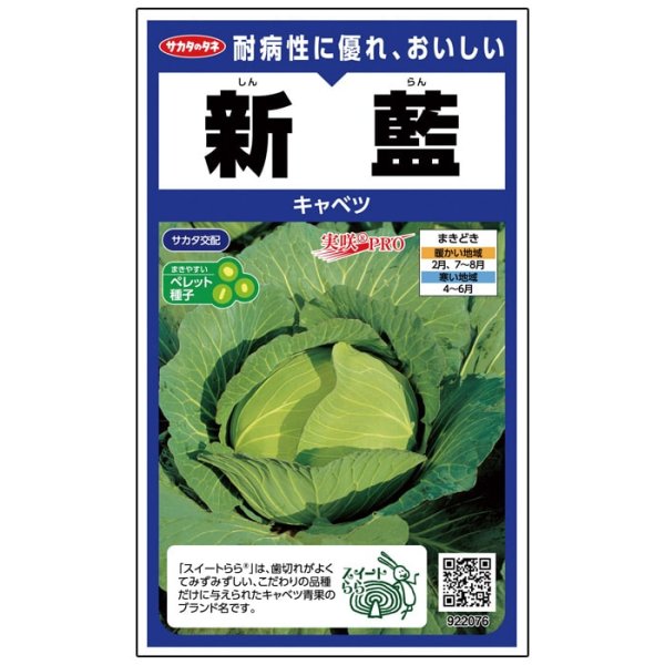 画像4: キャベツ 新藍（ペレット5千粒） (4)