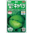 画像2: キャベツ 藍天（ペレット5千粒） (2)