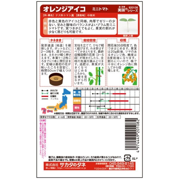 画像3: ミニトマト オレンジアイコ（PRIMAX　千粒） (3)