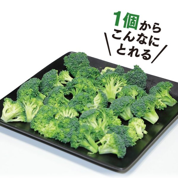 画像6: ブロッコリー グランドーム（ペレット5千粒） (6)