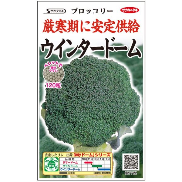 画像2: ブロッコリー ウインタードーム（実咲絵袋ペレット） (2)