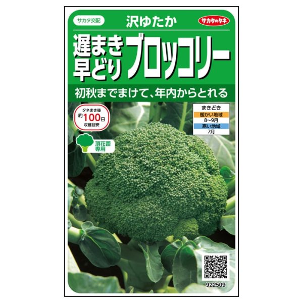 画像2: ブロッコリー 沢ゆたか（20ml） (2)