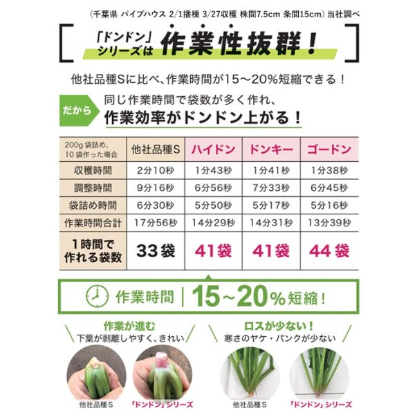 画像7: ホウレンソウ ドンキー（実咲PRIMAX） (7)