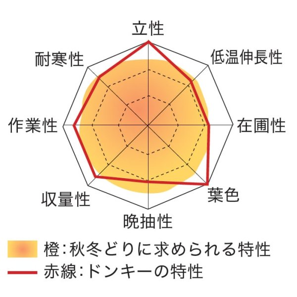 画像4: ホウレンソウ ドンキー（実咲PRIMAX） (4)