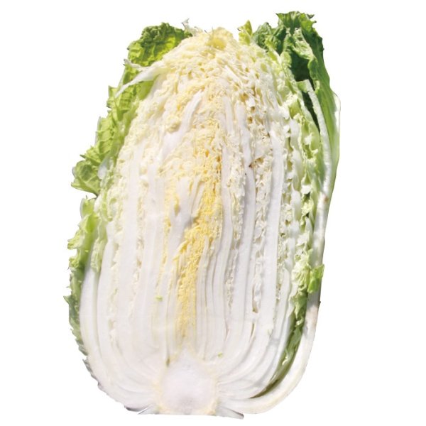 画像4: ハクサイ 富風（実咲絵袋） (4)