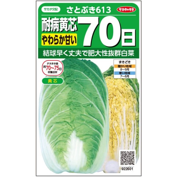 画像2: ハクサイ さとぶき613（20ml） (2)
