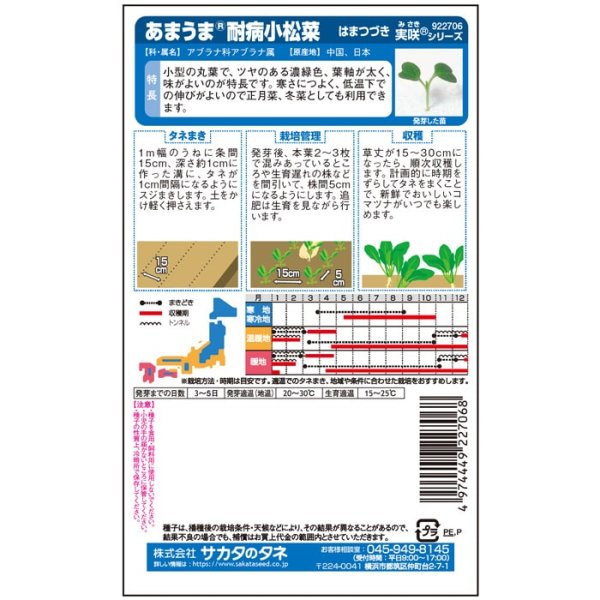 画像3: コマツナ はまつづき（実咲絵袋） (3)