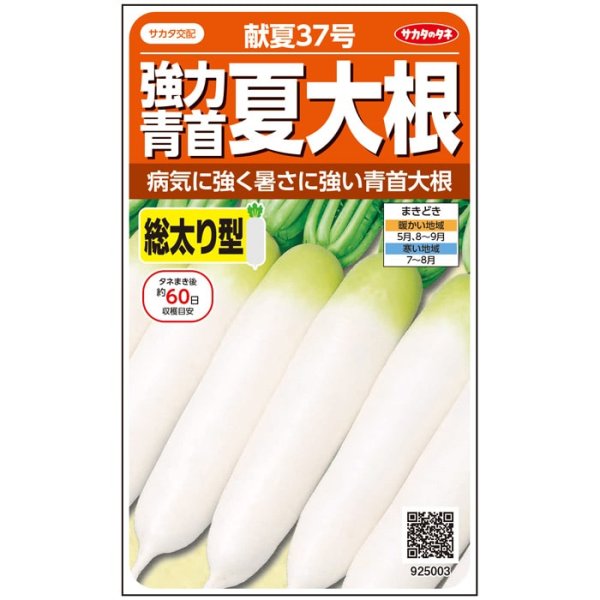 画像2: ダイコン 献夏37号（2㎗） (2)