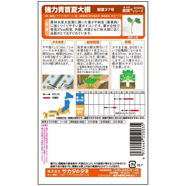 画像3: ダイコン 献夏37号（2㎗） (3)