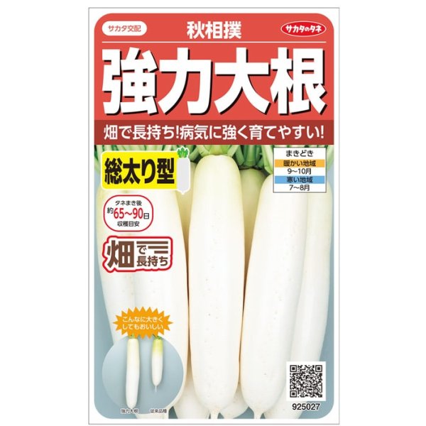 画像2: ダイコン 秋相撲（8000粒） (2)