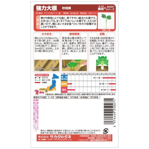 画像3: ダイコン 秋相撲（8000粒） (3)