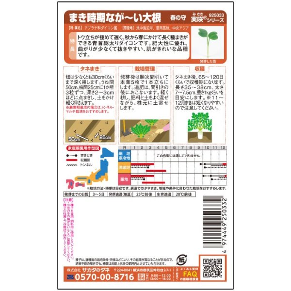 画像3: ダイコン 春の守（8000粒） (3)