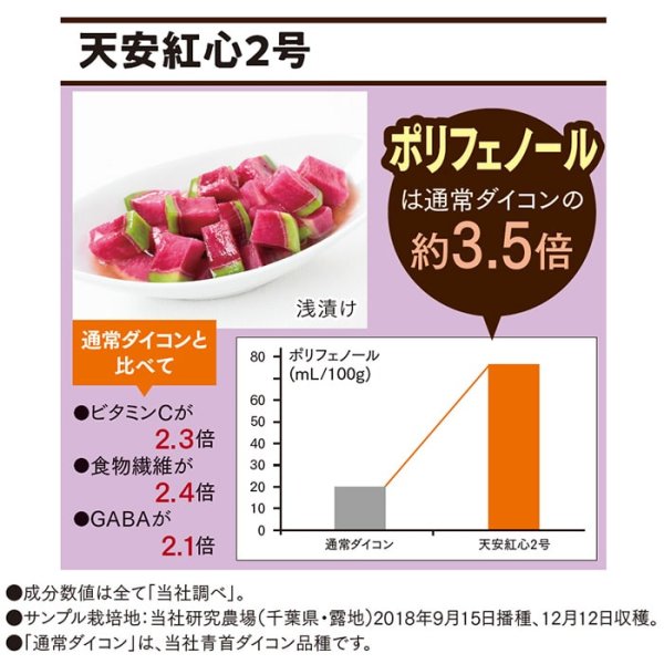 画像7: 紅心ダイコン 天安紅心2号（20ml） (7)