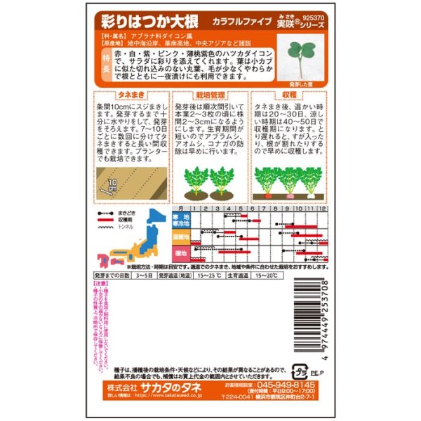 画像3: ハツカダイコン カラフルファイブ（20ml） (3)