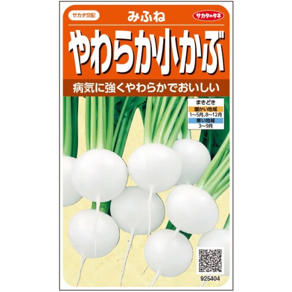 画像2: 小カブ みふね（1㎗） (2)