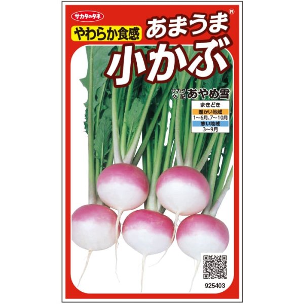 画像2: 小カブ あやめ雪（R）（実咲絵袋） (2)