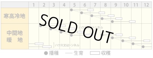 画像2: ダイコン　味辛　（20ml） (2)