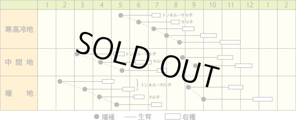 画像2: ダイコン　味わらべ　小袋（5ml） (2)