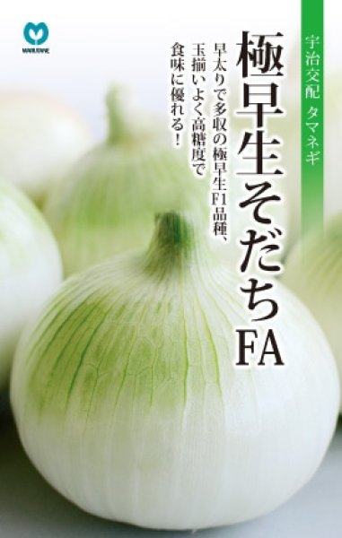 画像1: タマネギ　極早生育ちFA　（20ml） (1)