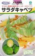 画像1: キャベツ　サラダキャベツ　（小袋70粒） (1)