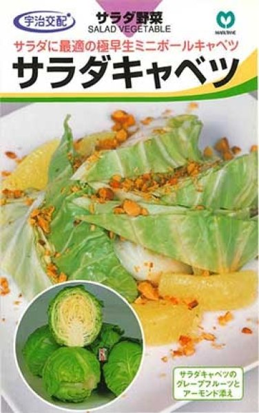 画像1: キャベツ　サラダキャベツ　（小袋70粒） (1)