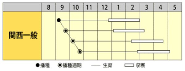 画像2: ハナナ　CR花まつり　（2㎗） (2)