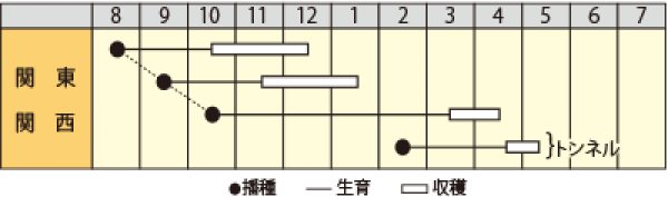 画像2: ハナナ　CR京の春　（2㎗） (2)