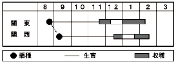 画像2: ハナナ　CR京晴　（小袋　4ml） (2)