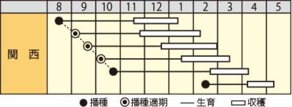 画像2: ハナナ　CR花かんざし　（2㎗） (2)