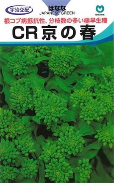 画像1: ハナナ　CR京の春　（20ml） (1)