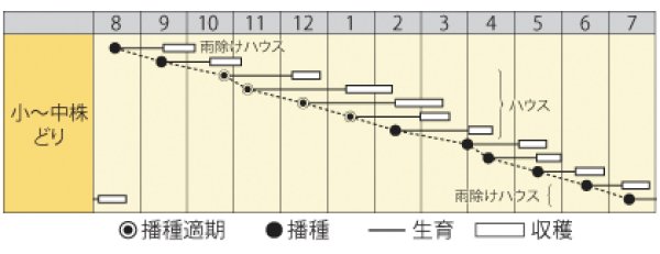 画像2: ミズナ　京のれん　（20ml） (2)