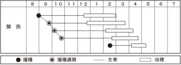 画像2: ハナナ　花ぐるま　（2㎗） (2)